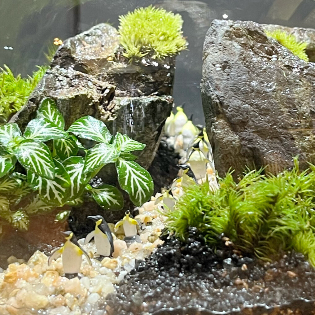 後楽園】岩山編 GreenBottle