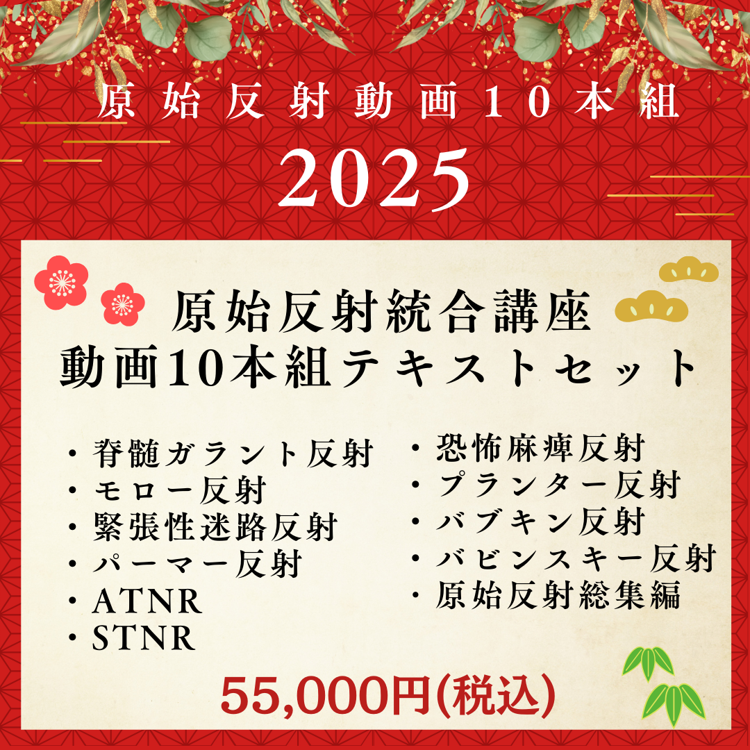 【動画販売】原始反射オンライン講座 10講座セット テキスト付(11/30迄)