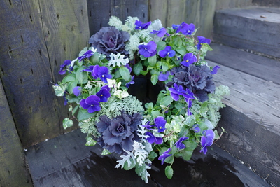 ハンギングリースWS