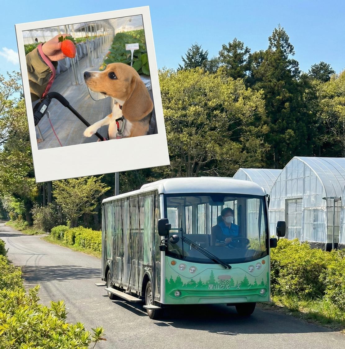 🚌EVバスで行く！いちご狩りツアー (愛犬同伴可🐶)　1月～3月