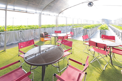 🚌EVバスで行く！いちご狩りツアー (愛犬同伴可🐶)　1月～3月