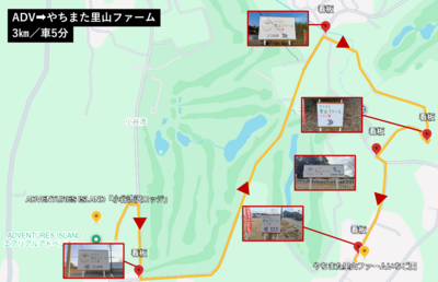 いちご狩り（直行）