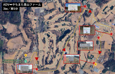 いちご狩り（直行）