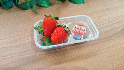 いちご狩り（直行）