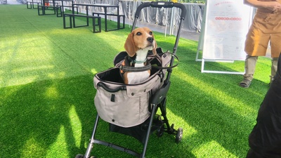 いちご狩り（直行）