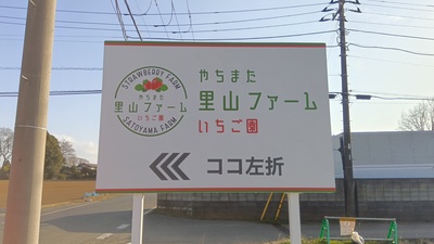 いちご狩り（直行）