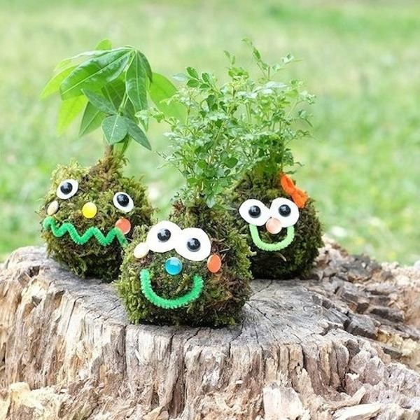 【予約制】観葉植物でオリジナルのこけだまを作ろう!