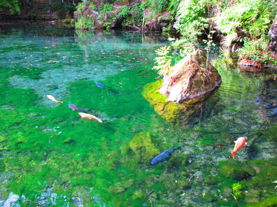 11月29日出発晩秋の足利を撮り尽くす！🍁✨