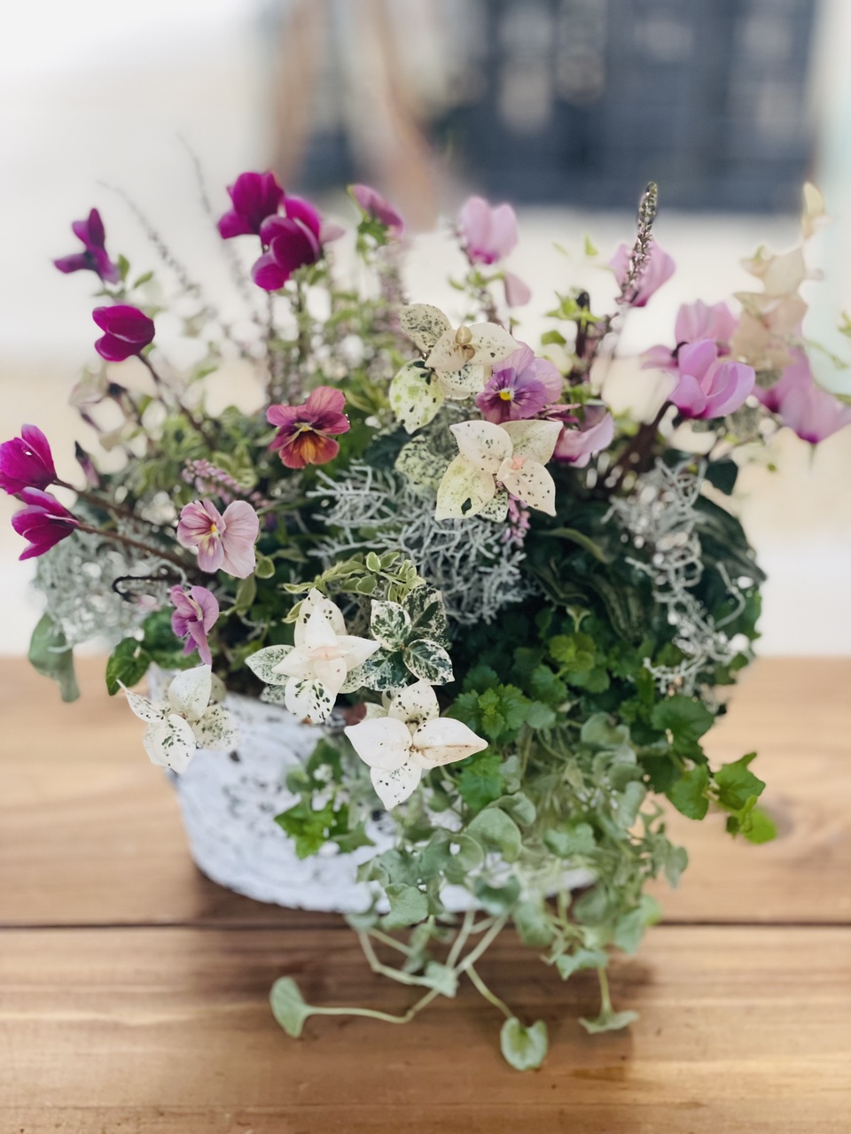 11月🪴1dayレッスン・フローラルリーフカップにビオラ&シクラメンをギャザリング
