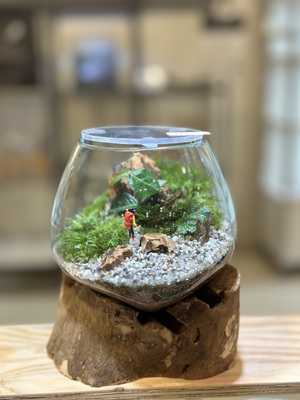 【 阪急うめだ本店 】流木ガラスの苔テラリウムワークショップ【大阪】