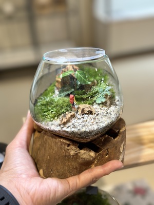【 阪急うめだ本店 】流木ガラスの苔テラリウムワークショップ【大阪】