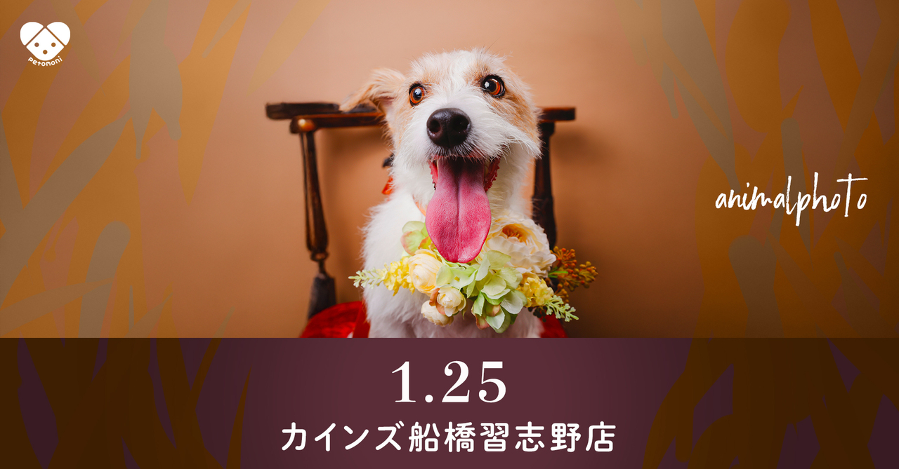 千葉県【カインズ船橋習志野店】2026年1月25日（日）