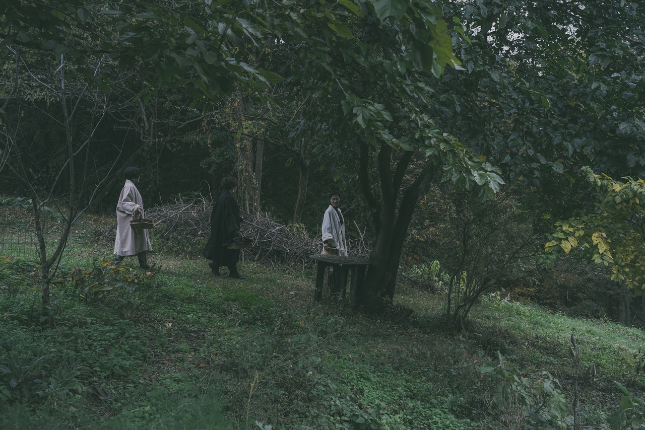 Rewildingの森案内