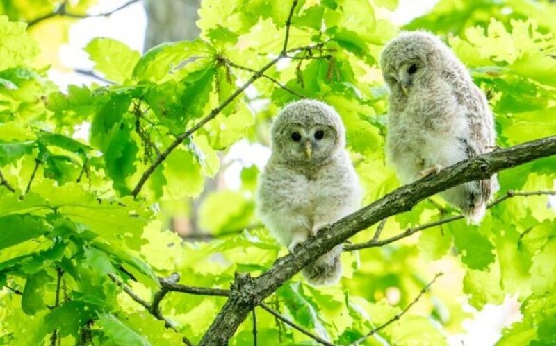 それぞれの瞬間　動物写真展 開催記念スペシャルトークショー