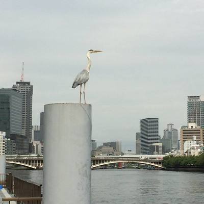 舟×読（ふなどく）2026