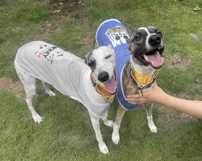 貸切ドッグラン