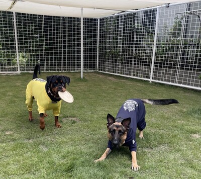 貸切ドッグラン