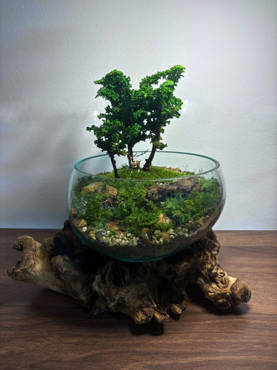 【予約制】テラリウム盆栽の作成ワークショップ「TheOnlyOne_bottleterrarium」