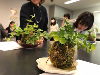 ＜東京多摩開催＞誰でも参加ＯＫ！かんたん苔玉ワークショップ