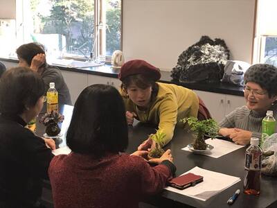 ＜東京多摩開催＞誰でも参加ＯＫ！かんたん苔玉ワークショップ