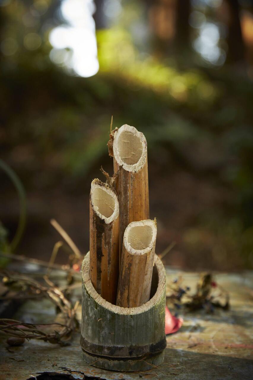 【12/28】おやこ学部・千葉佐倉　年末！門松＆しめ縄づくり