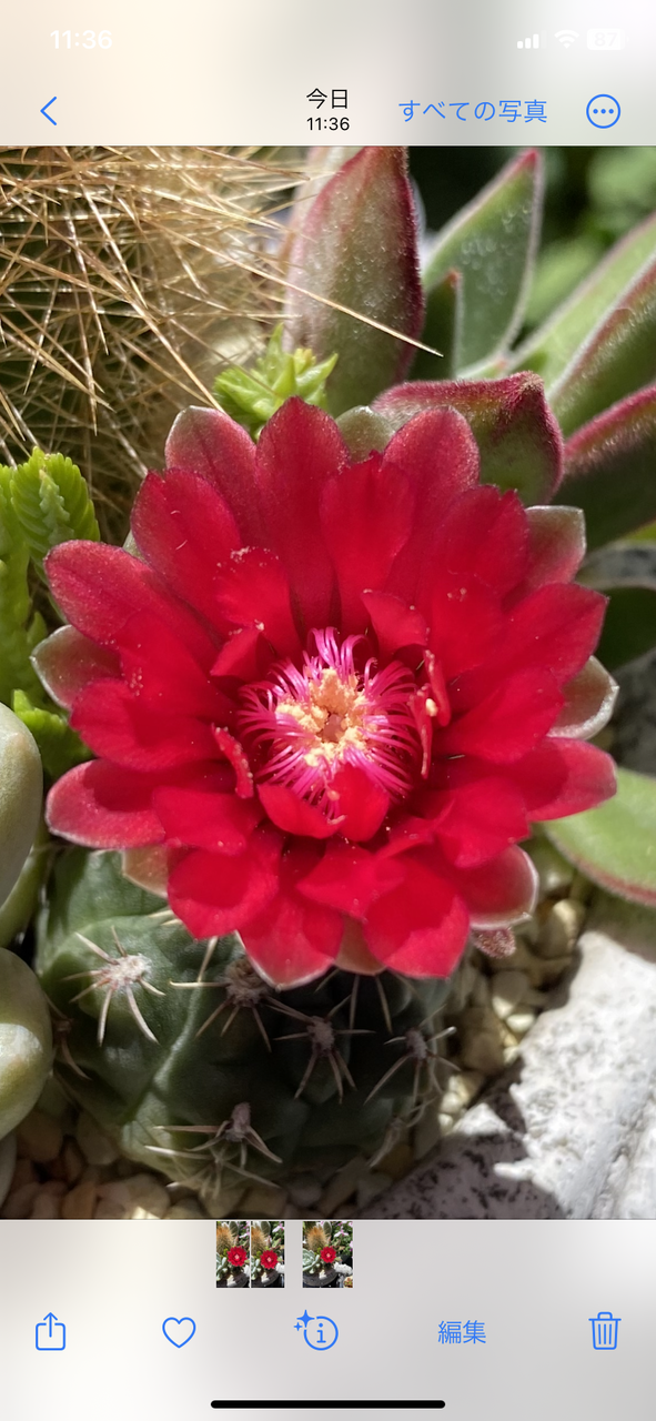 保土ヶ谷駅北　無料体験学習●学習前面談予約●