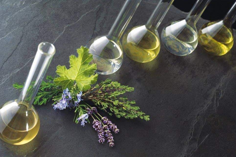 ヒーリングアロマサロンMINKO