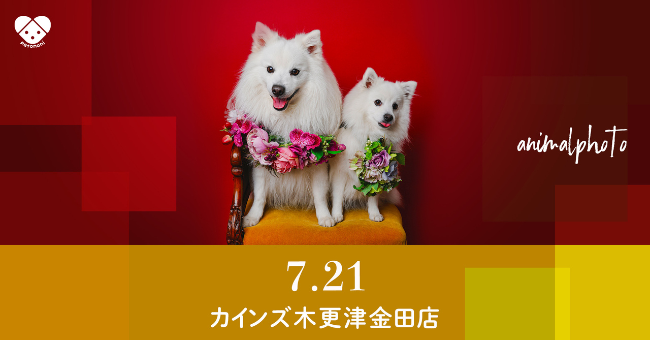 千葉県【カインズ木更津金田店】2025年7月21日（月祝） 