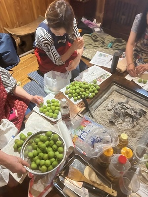 ＜無農薬の青梅＞美味しすぎる！！青梅のカリカリはちみつ漬け＆炭火で炊く竹筒梅ごはん