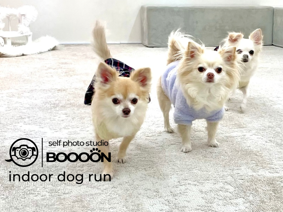 【土日祝】ご利用web予約