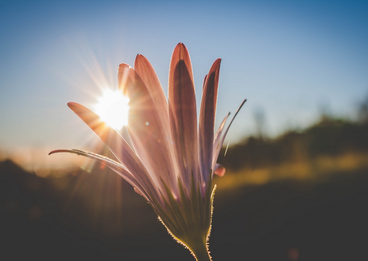 おはよう朝ヨガ　⭐　こころ