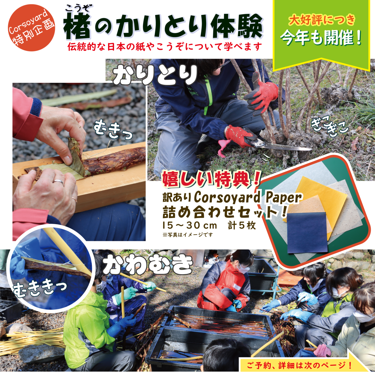楮のかりとりを体験しよう！　～楮刈り取りワークショップ2025～