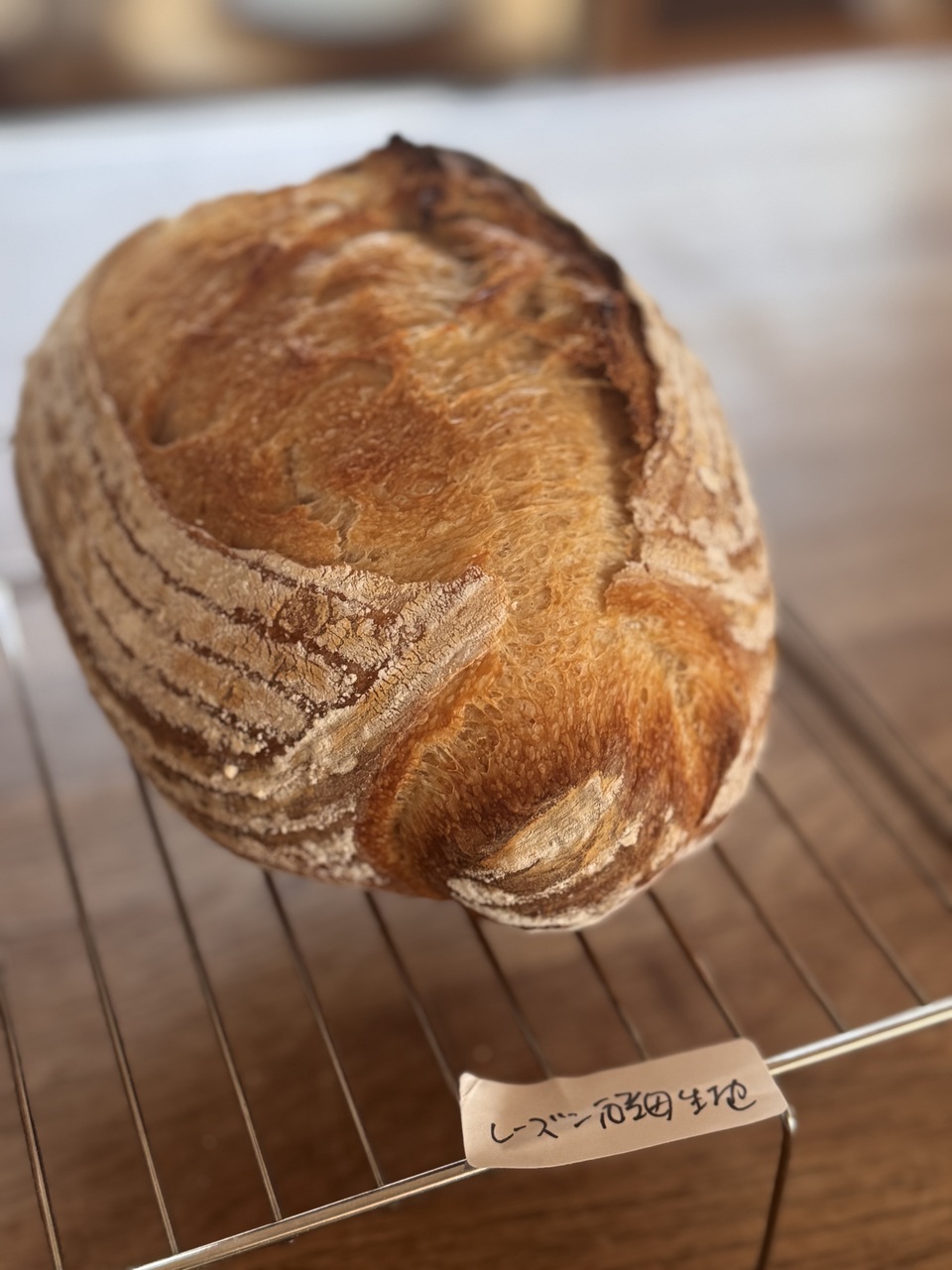 リアルアトリエ山梨　自家製酵母（レーズン酵母）パンドカンパーニュと発酵ランチレッスン