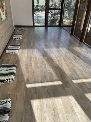 ベーシックヨガレッスン（基本のハタヨガクラス60分）