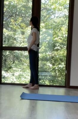 ベーシックヨガレッスン（基本のハタヨガクラス60分）