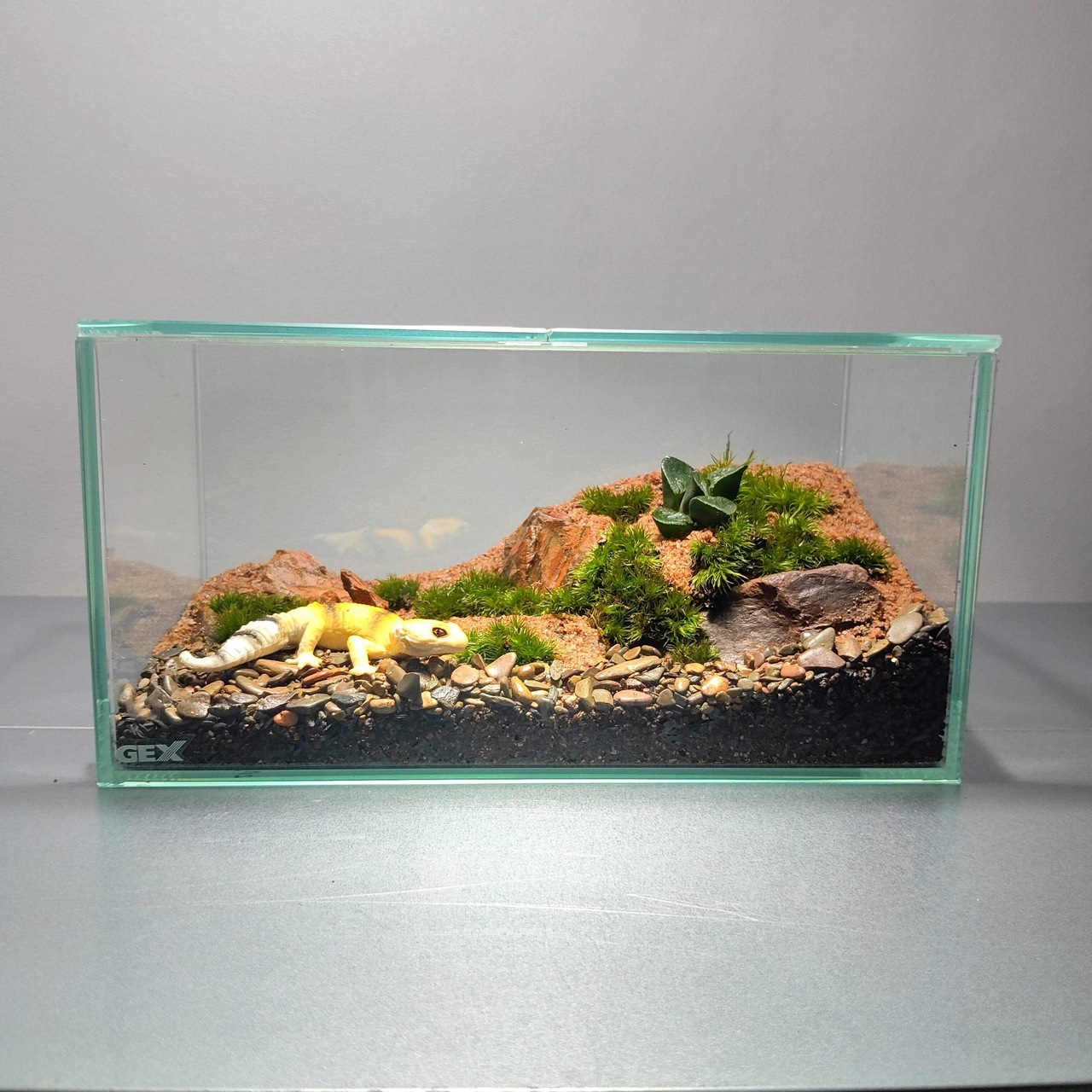 【仙台アエル店】お人形付き！レオパの生息地の風景を作る苔テラリウムワークショップ