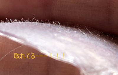 ご予約Menuはこちらから