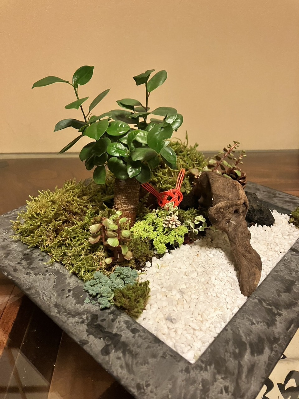 【予約制】お正月に飾る 寄せ植え教室