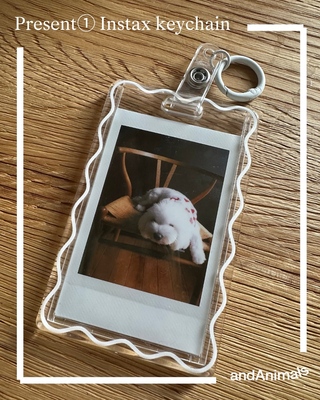 MINAMIAOYAMA DOGPARK　Photo and Animals