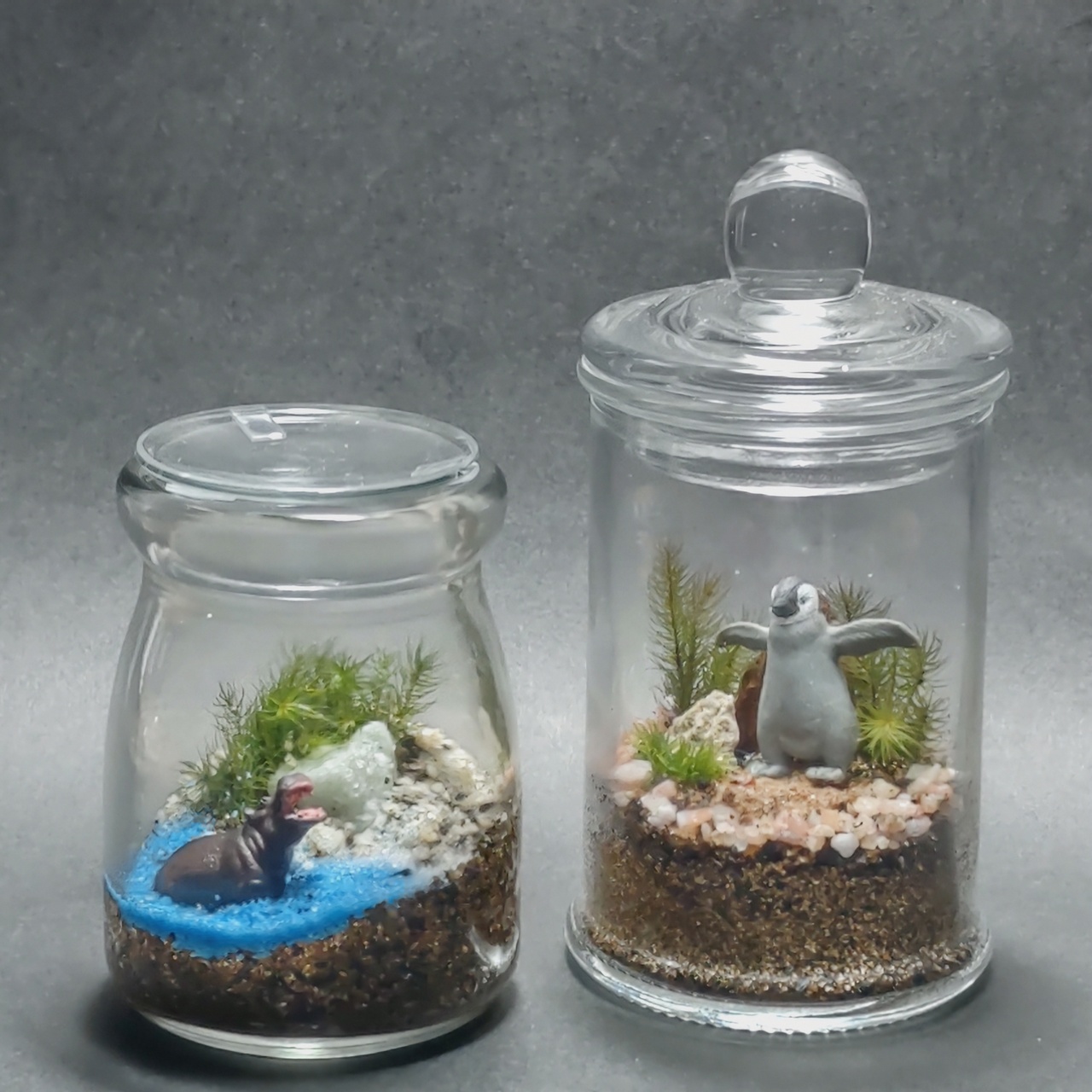 苔テラリウムのワークショップ