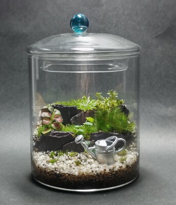 苔テラリウムのワークショップ