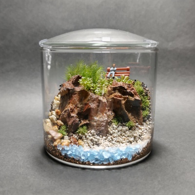 苔テラリウムのワークショップ