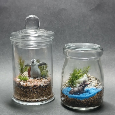 苔テラリウムのワークショップ