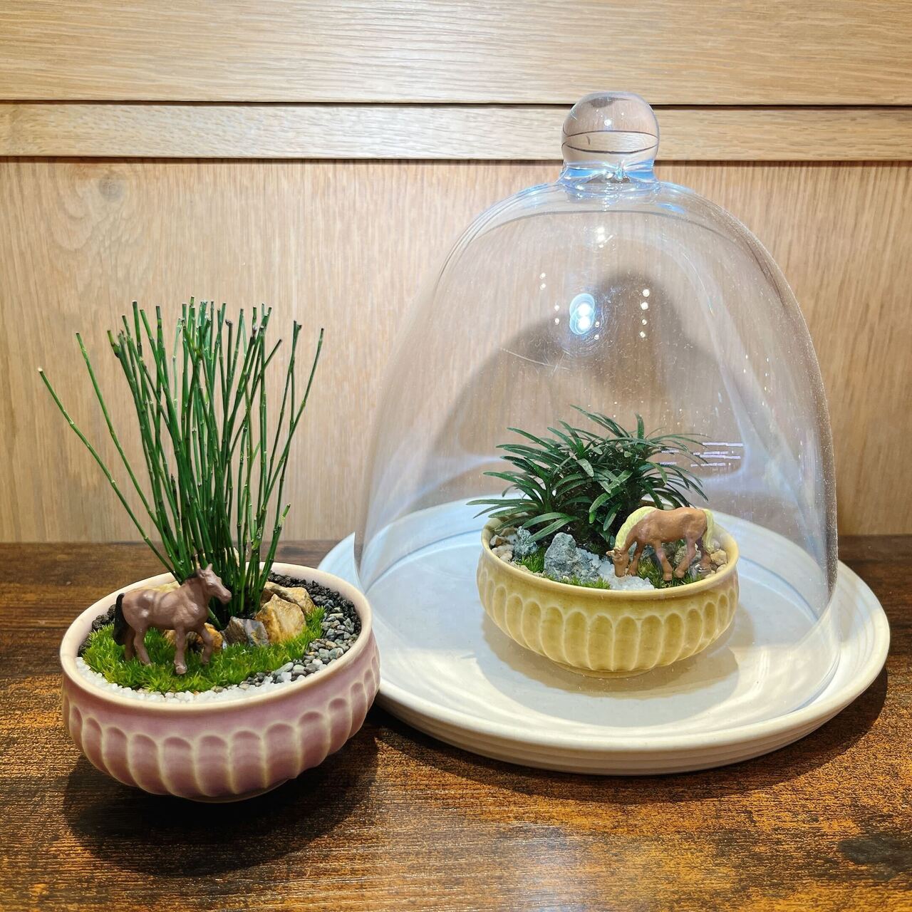 幕張新都心 】 苔盆栽ワークショップ Feel the garden