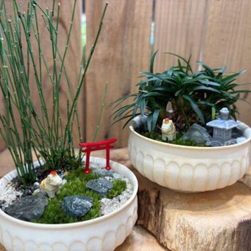 幕張新都心 】 苔盆栽ワークショップ Feel the garden