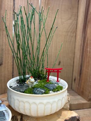 【 幕張新都心 】 苔盆栽ワークショップ　Feel the garden