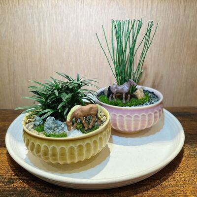 【 幕張新都心 】 苔盆栽ワークショップ　Feel the garden