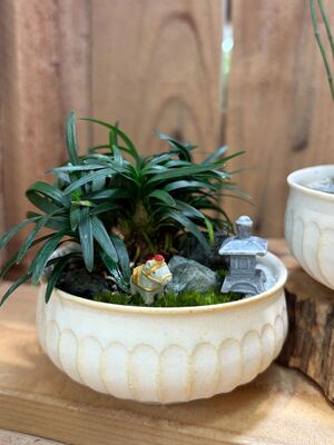 【 幕張新都心 】 苔盆栽ワークショップ　Feel the garden