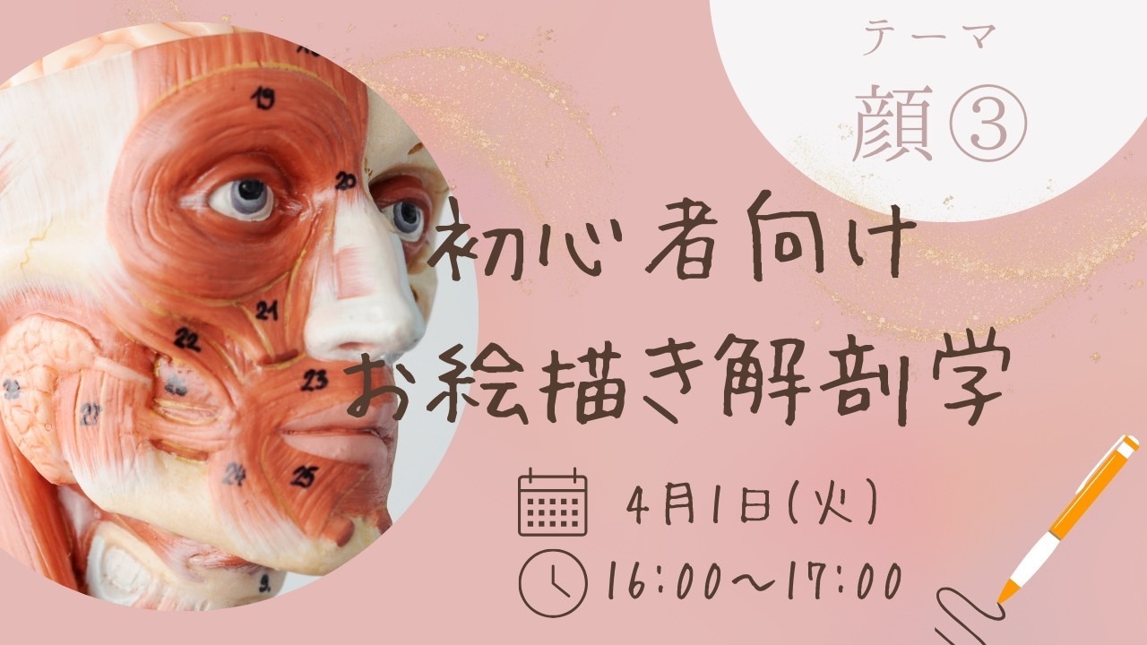 お絵描き解剖学