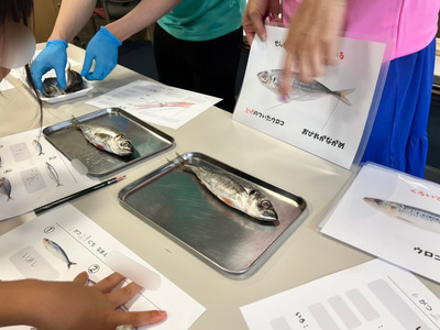 【初級コース／90分】食育クッキング（チケット2枚消費)